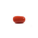 Red Coral - 5.1 Carat - Pramogh