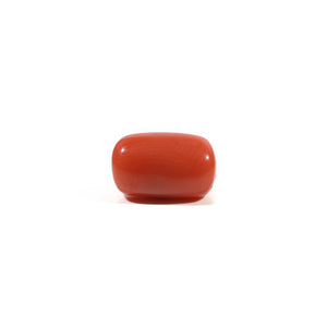 Red Coral - 3.22 Carat - Pramogh