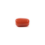 Red Coral - 3.22 Carat