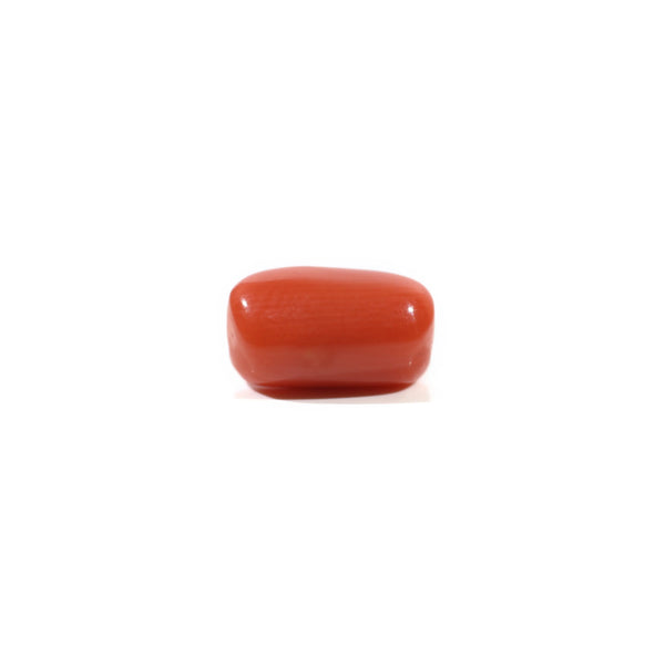 Red Coral - 3.22 Carat