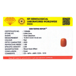 Red Coral - 3.22 Carat
