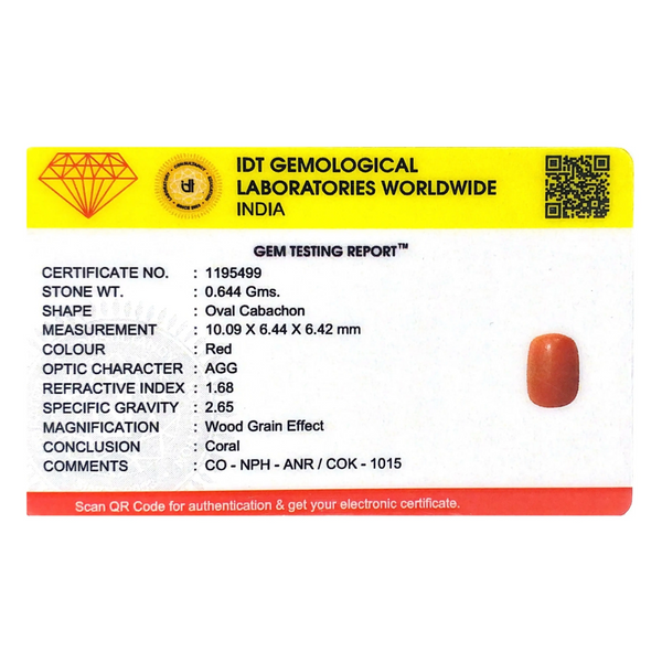 Red Coral - 3.22 Carat