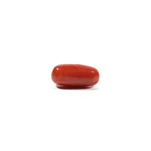 Red Coral - 4.93 Carat - Pramogh
