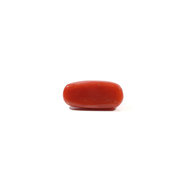 Red Coral - 4.93 Carat