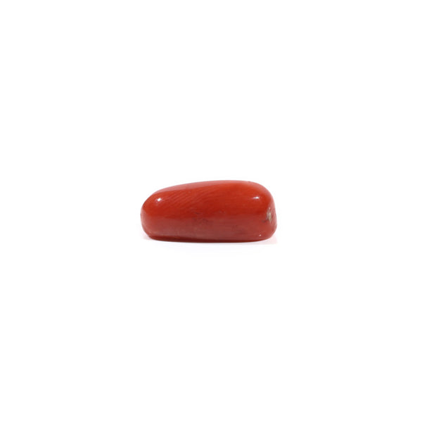 Red Coral - 4.93 Carat