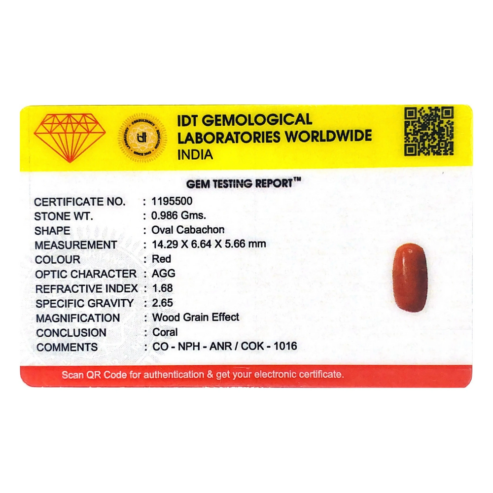 Red Coral - 4.93 Carat