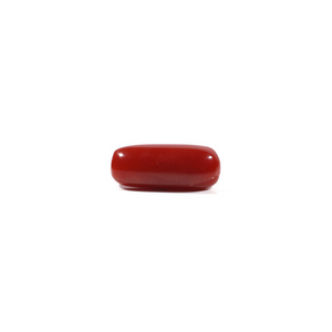 Red Coral - 4.84 Carat - Pramogh