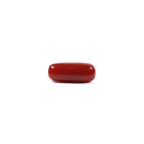 Red Coral - 4.84 Carat - Pramogh