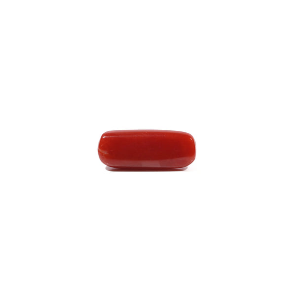 Red Coral - 4.84 Carat
