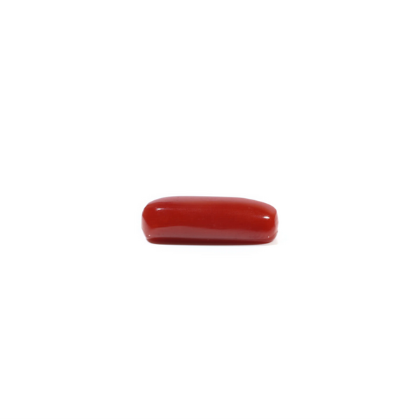 Red Coral - 4.84 Carat