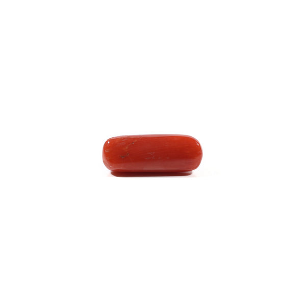 Red Coral - 5.2 Carat