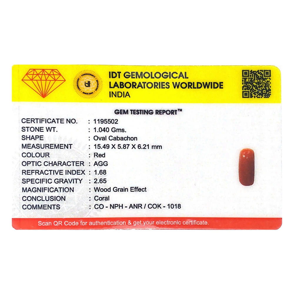 Red Coral - 5.2 Carat