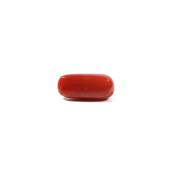 Red Coral - 4.95 Carat