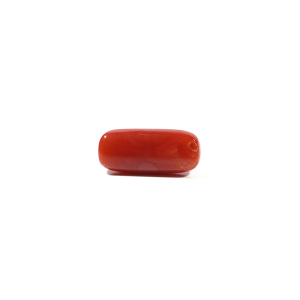 Red Coral - 4.9 Carat