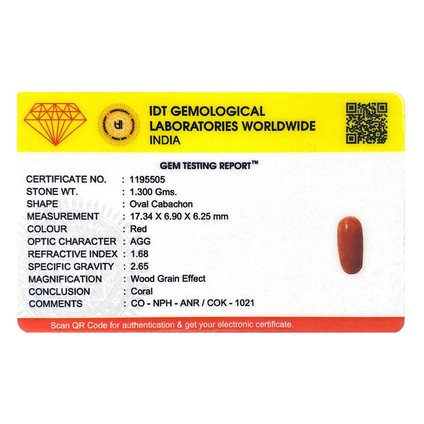 Red Coral - 6.5 Carat