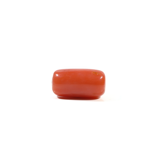 Red Coral - 5.4 Carat - Pramogh
