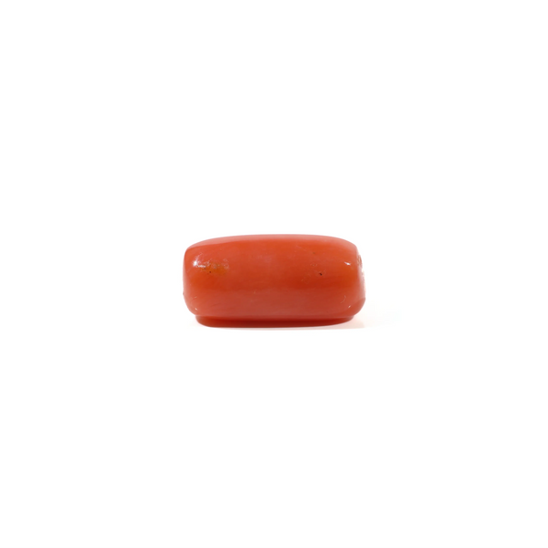 Red Coral - 5.4 Carat