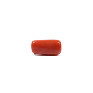 Red Coral - 5.28 Carat - Pramogh