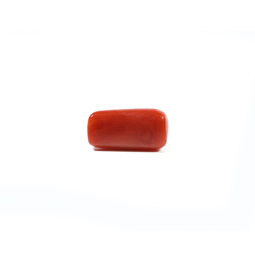 Red Coral - 5.28 Carat
