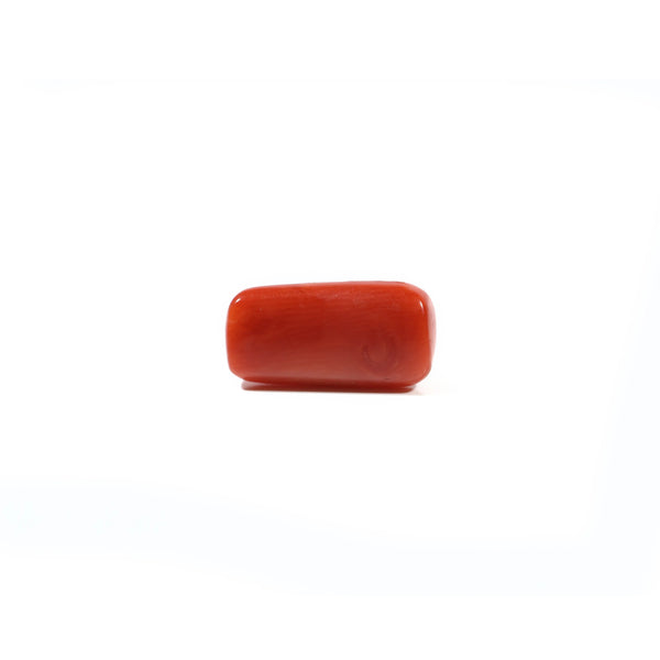 Red Coral - 5.28 Carat
