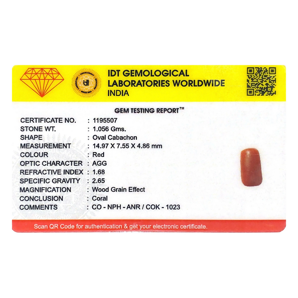 Red Coral - 5.28 Carat