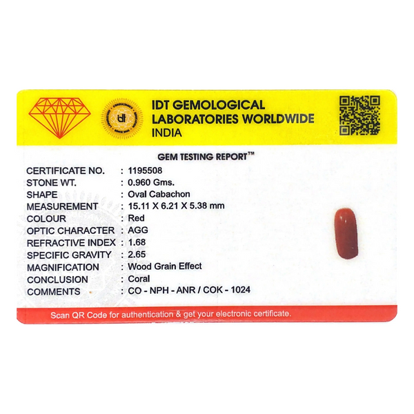 Red Coral - 4.8 Carat