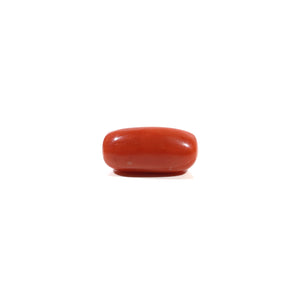 Red Coral - 6.05 Carat - Pramogh