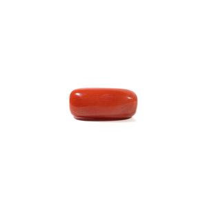Red Coral - 6.5 Carat - Pramogh