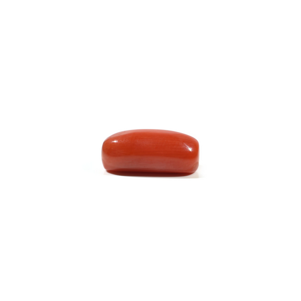 Red Coral - 6.5 Carat