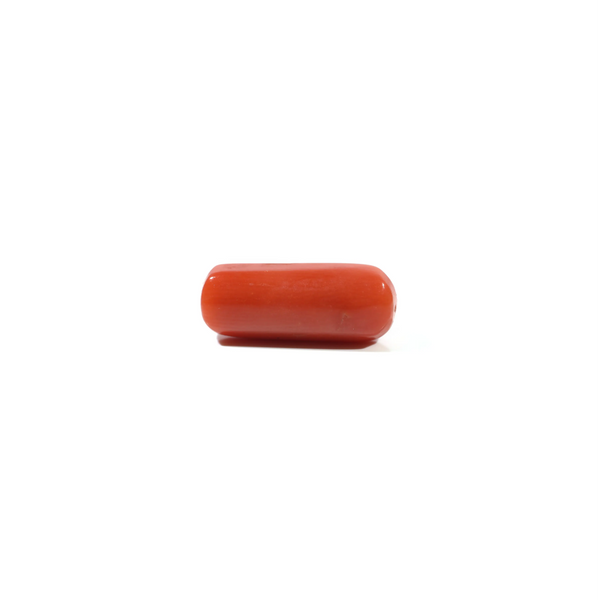 Red Coral - 5.2 Carat