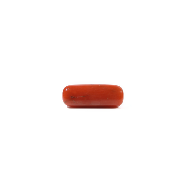 Red Coral - 3.92 Carat