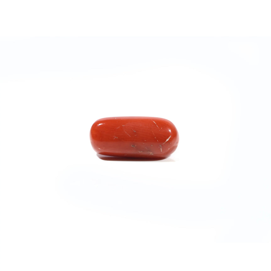 Red Coral - 6.65 Carat - Pramogh