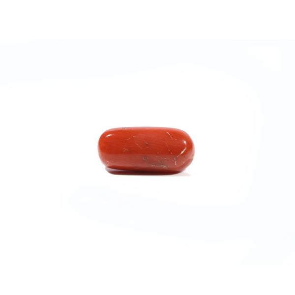 Red Coral - 6.65 Carat - Pramogh