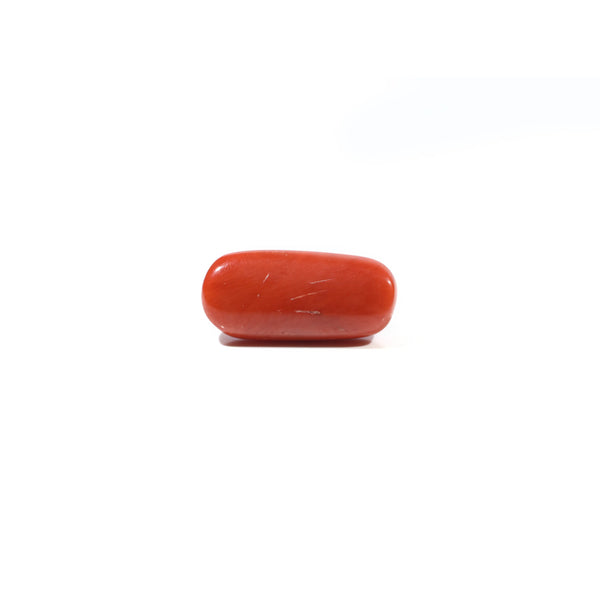 Red Coral - 6.65 Carat