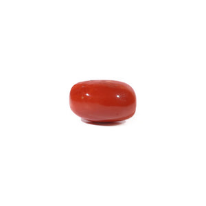 Red Coral - 4.9 Carat - Pramogh