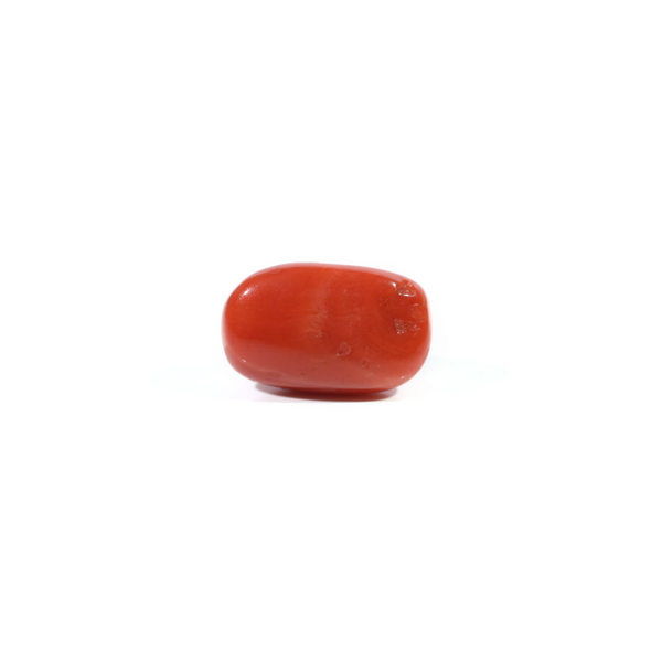 Red Coral - 4.9 Carat