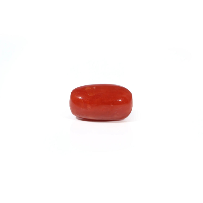 Red Coral - 3.26 Carat - Pramogh