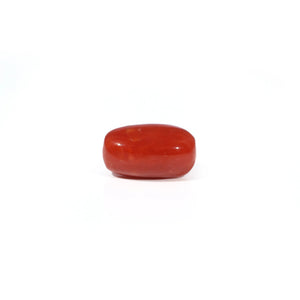 Red Coral - 3.26 Carat - Pramogh