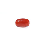 Red Coral - 3.26 Carat