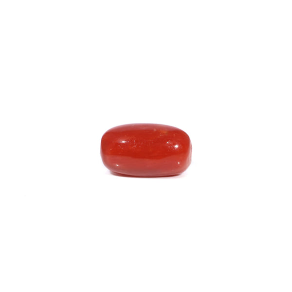 Red Coral - 3.26 Carat