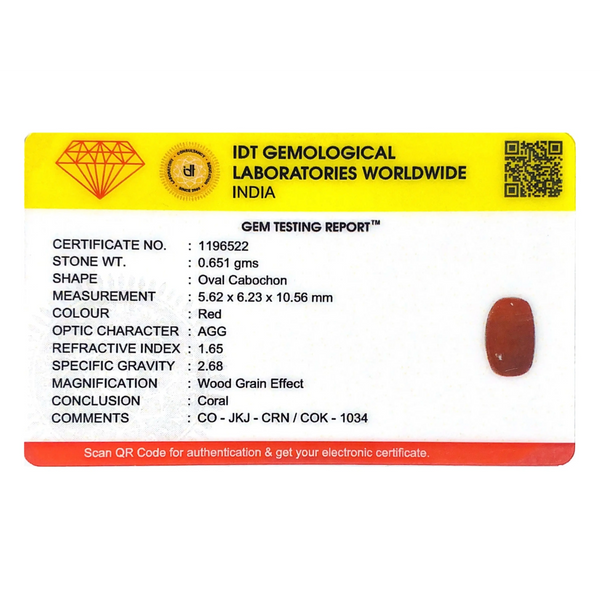 Red Coral - 3.26 Carat