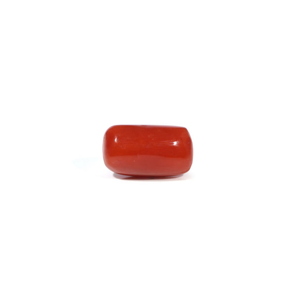 Red Coral - 3.6 Carat - Pramogh