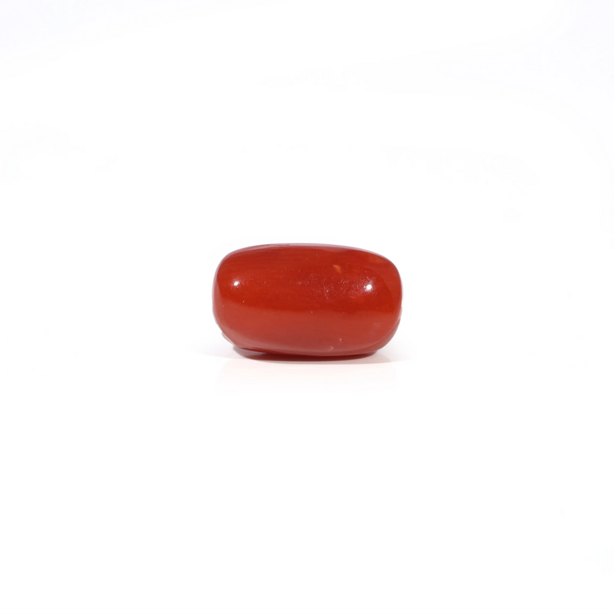 Red Coral - 3.6 Carat
