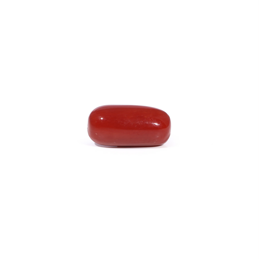 Red Coral - 3.29 Carat - Pramogh