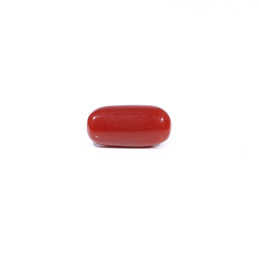 Red Coral - 3.29 Carat