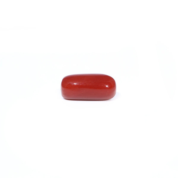 Red Coral - 3.29 Carat