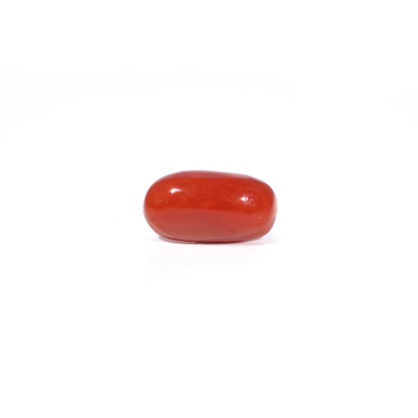 Red Coral - 3.38 Carat - Pramogh