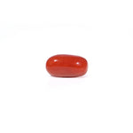 Red Coral - 3.38 Carat - Pramogh