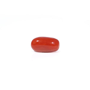 Red Coral - 3.38 Carat - Pramogh