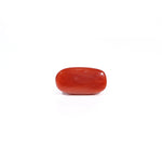 Red Coral - 3.38 Carat